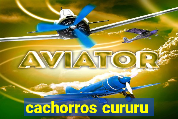 cachorros cururu